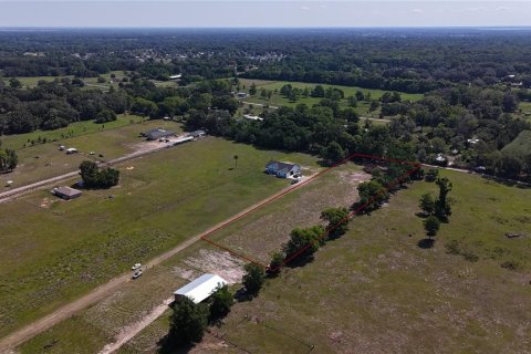 Land in Summerfield, Florida № 1745165 - photo 7