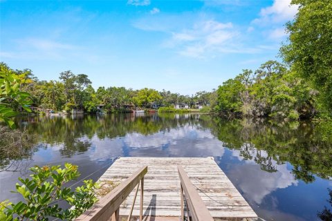 Casa en venta en Tampa, Florida, 4 dormitorios, 286.98 m2 № 1529644 - foto 29