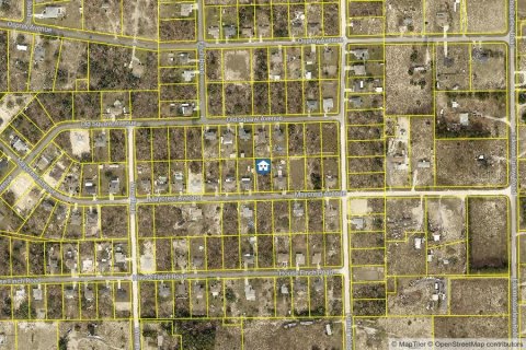 Land in Weeki Wachee, Florida № 2379583 - photo 2