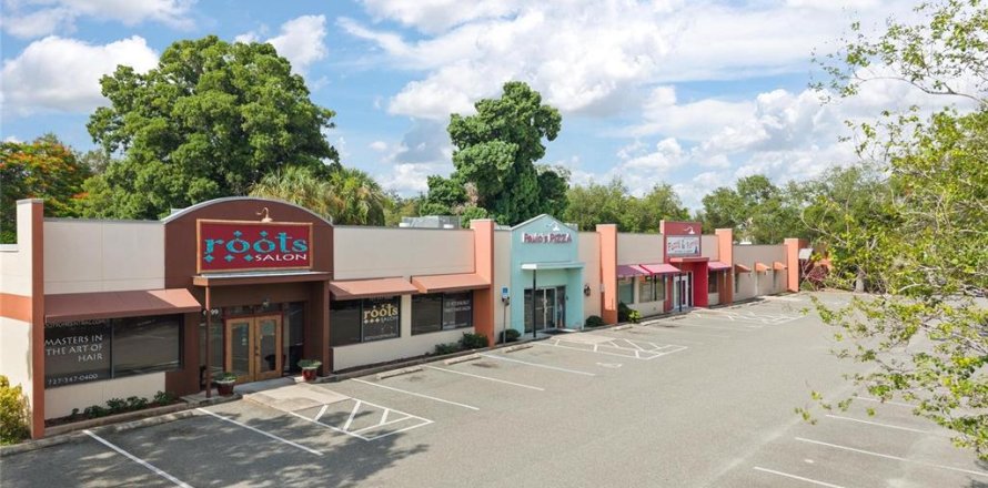 Immobilier commercial à Saint Petersburg, Floride 775.92 m2 № 2235518