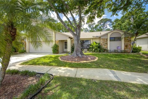 Villa ou maison à vendre à Tampa, Floride: 4 chambres, 165.92 m2 № 1612680 - photo 1