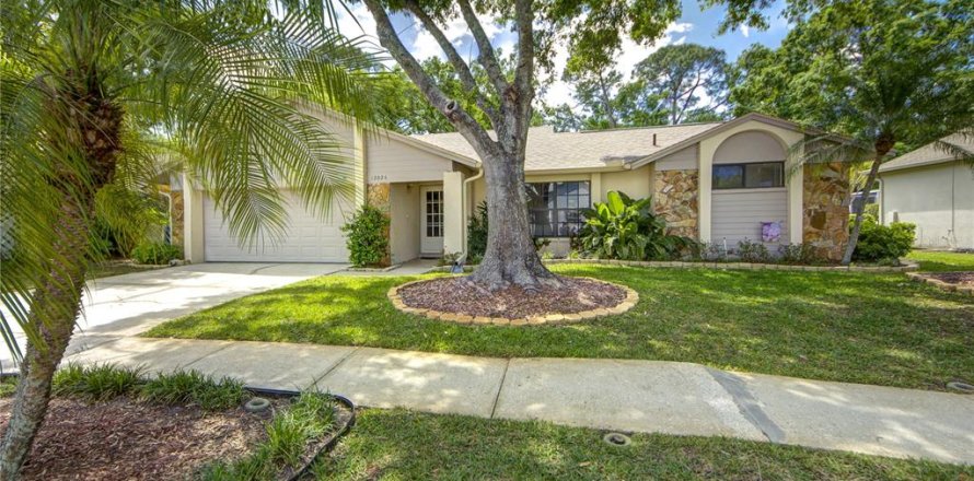 House in Tampa, Florida 4 bedrooms, 165.92 sq.m. № 1612680
