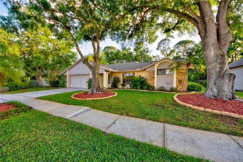 Villa ou maison à vendre à Tampa, Floride: 4 chambres, 165.92 m2 № 1612680 - photo 2