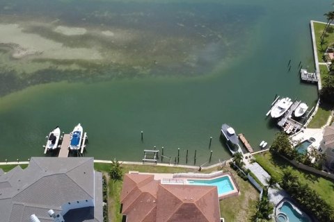 Villa ou maison à vendre à Nokomis, Floride: 6 chambres, 324.88 m2 № 2201895 - photo 6