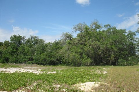 Terreno en Lake Wales, Florida № 2214636