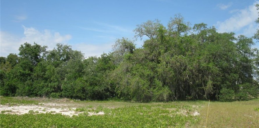 Land in Lake Wales, Florida № 2214636