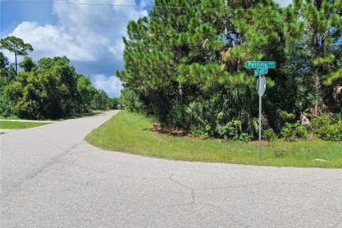 Land in Port Charlotte, Florida № 2161187