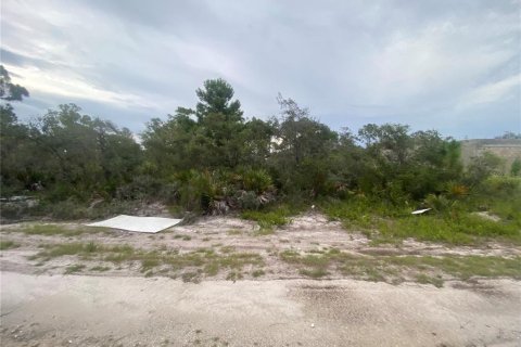 Land in Sebring, Florida № 2275725 - photo 3