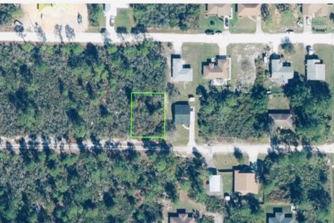 Land in Sebring, Florida № 2275725 - photo 2