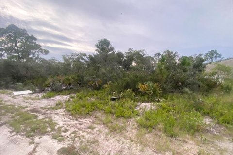 Land in Sebring, Florida № 2275725