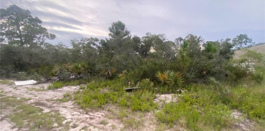 Land in Sebring, Florida № 2275725