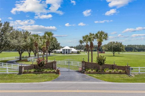 Villa ou maison à vendre à Lake City, Floride: 3 chambres, 588.07 m2 № 1902210 - photo 3