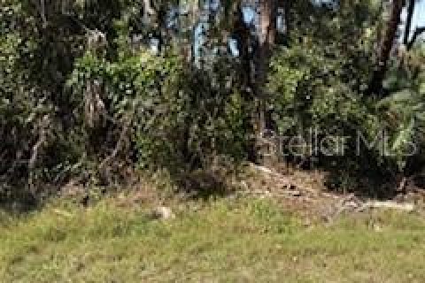 Land in Port Charlotte, Florida № 2163296