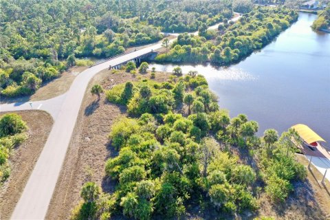 Land in Port Charlotte, Florida № 2118412 - photo 7