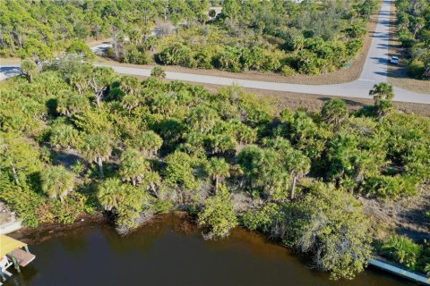 Land in Port Charlotte, Florida № 2118412 - photo 2