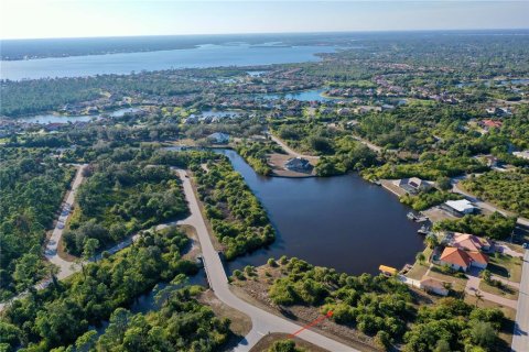 Land in Port Charlotte, Florida № 2118412 - photo 8