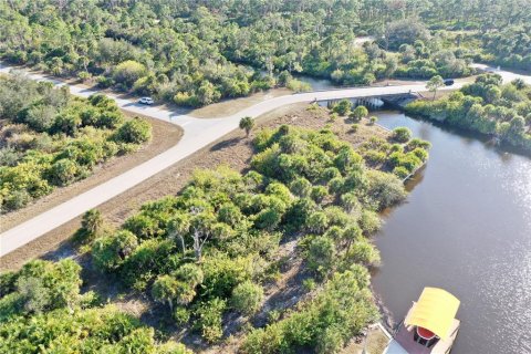 Land in Port Charlotte, Florida № 2118412 - photo 11