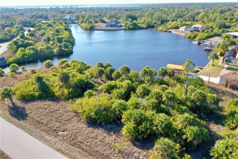 Land in Port Charlotte, Florida № 2118412 - photo 12