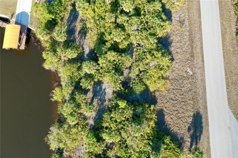 Land in Port Charlotte, Florida № 2118412 - photo 5