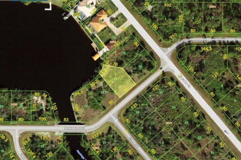 Land in Port Charlotte, Florida № 2118412 - photo 3