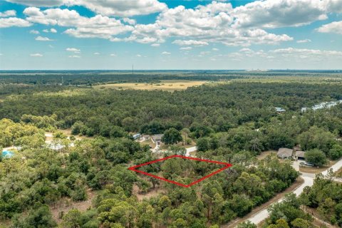 Land in Punta Gorda, Florida № 2162344 - photo 13