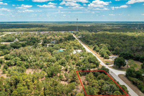 Land in Punta Gorda, Florida № 2162344 - photo 15
