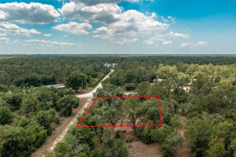 Land in Punta Gorda, Florida № 2162344 - photo 11