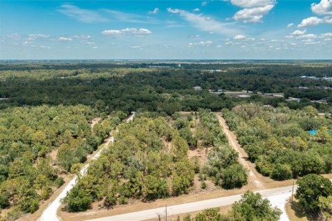 Land in Punta Gorda, Florida № 2162344 - photo 14