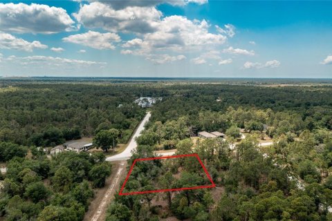 Land in Punta Gorda, Florida № 2162344 - photo 10