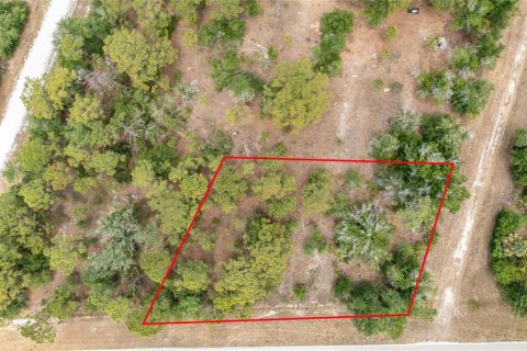 Terreno en Punta Gorda, Florida № 2162344
