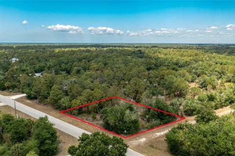 Land in Punta Gorda, Florida № 2162344 - photo 2