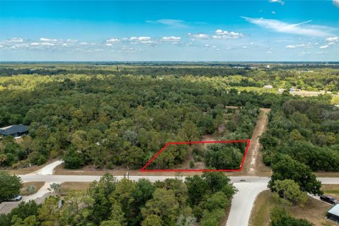 Land in Punta Gorda, Florida № 2162344 - photo 3