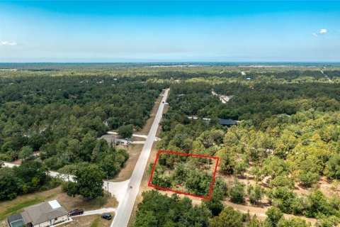 Land in Punta Gorda, Florida № 2162344 - photo 7
