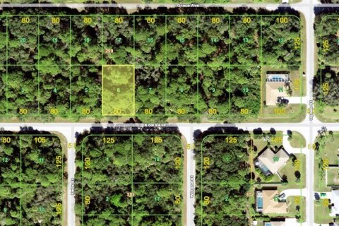 Land in Port Charlotte, Florida № 2161356