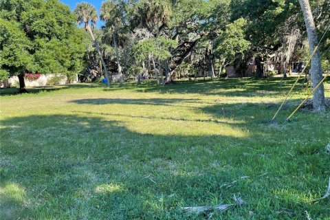 Land in Okeechobee, Florida № 1564893 - photo 5