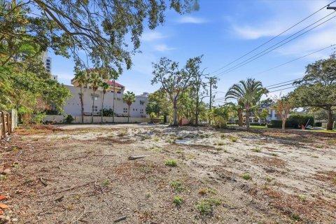 Immobilier commercial à vendre à Tampa, Floride: 2228.82 m2 № 2106550 - photo 3