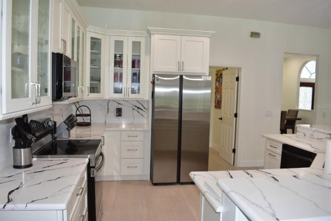 House in Dunedin, Florida 3 bedrooms, 226.96 sq.m. № 1681775 - photo 13