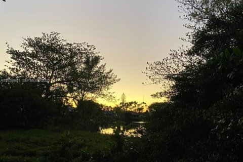 Terrain à vendre à Hallandale Beach, Floride № 2035143 - photo 4