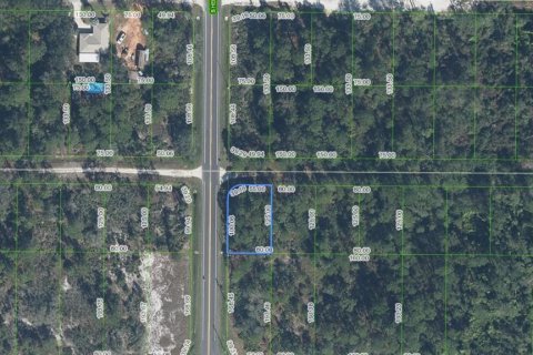 Land in Sebring, Florida № 2379055 - photo 2