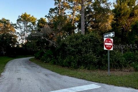 Terreno en venta en Deltona, Florida № 791818 - foto 7