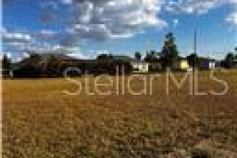 Land in Punta Gorda, Florida № 2162428 - photo 4