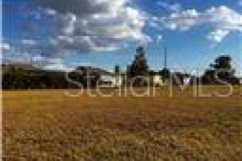 Land in Punta Gorda, Florida № 2162428 - photo 3