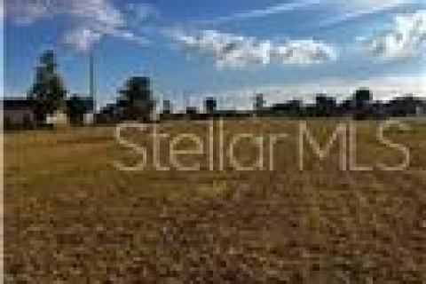 Land in Punta Gorda, Florida № 2162428 - photo 2