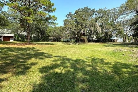 Land in Palm Harbor, Florida № 1574412 - photo 2