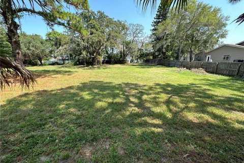 Land in Palm Harbor, Florida № 1574412 - photo 5