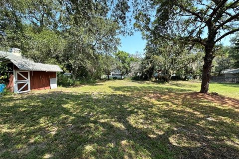 Land in Palm Harbor, Florida № 1574412 - photo 6