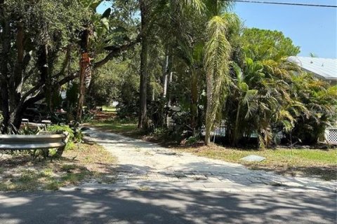Land in Palm Harbor, Florida № 1574412 - photo 1