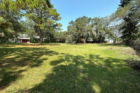 Land in Palm Harbor, Florida № 1574412 - photo 4