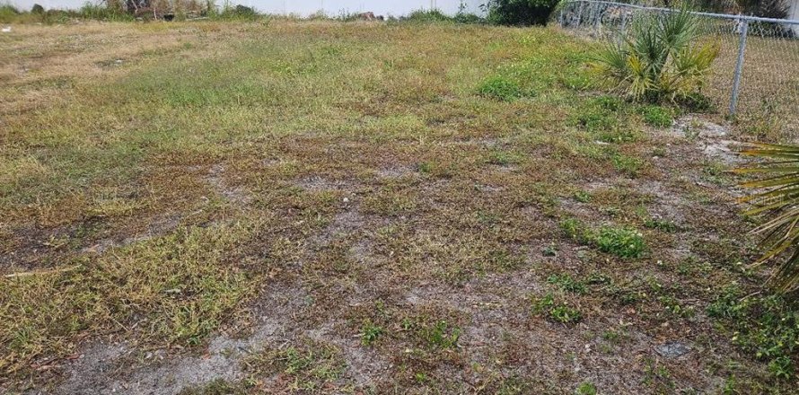 Terrain à Tampa, Floride № 1432844
