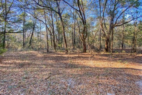 Land in Fort White, Florida № 2105784